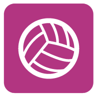 Icône Terrain de Volleyball
