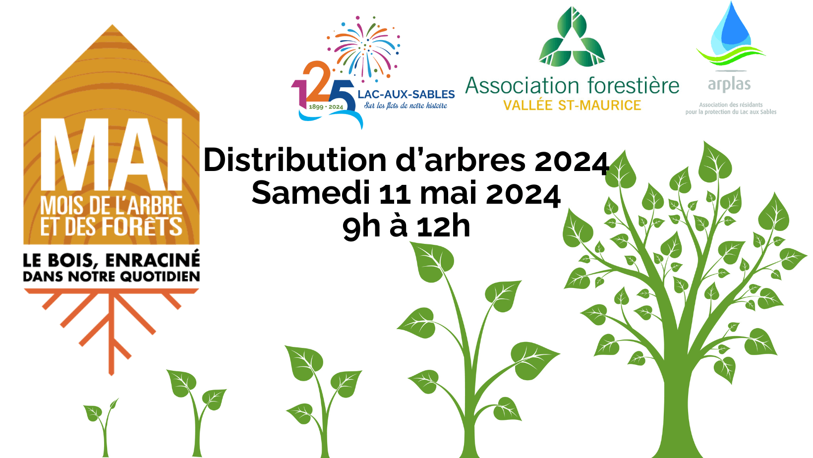 Distribution d'arbres 2024
